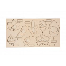cabinet de botanique feuilles complet
