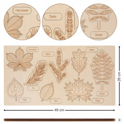 cabinet de botanique feuilles complet