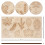 cabinet de botanique feuilles complet