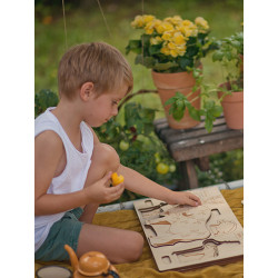 Puzzle en bois : évolution des animaux