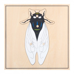 puzzle mouche
