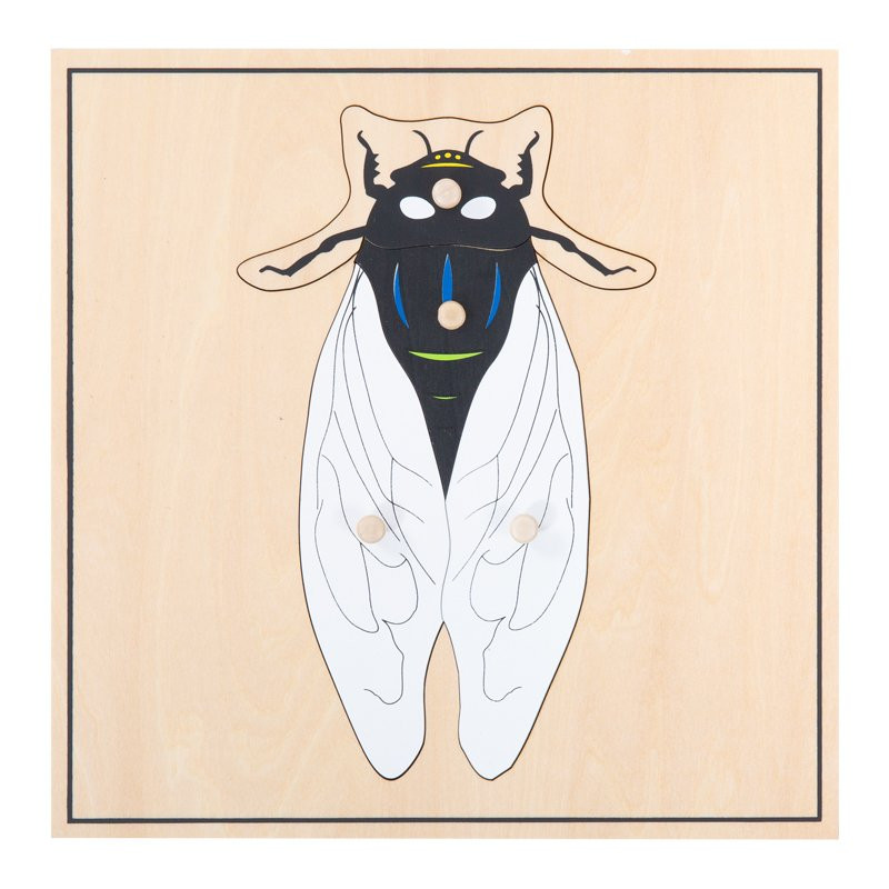 puzzle mouche