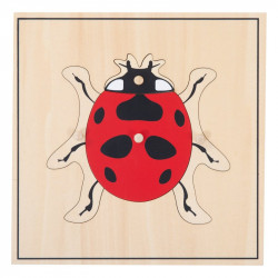 puzzle coccinelle