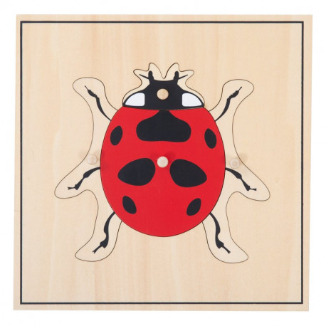 puzzle coccinelle
