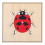 puzzle coccinelle