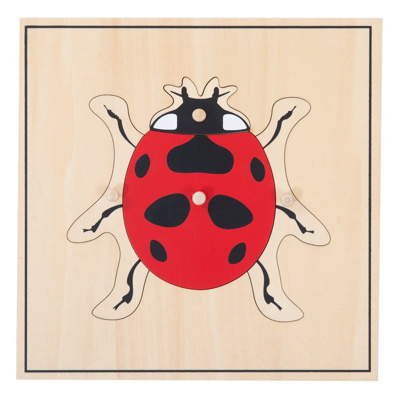 puzzle coccinelle