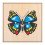 puzzle papillon
