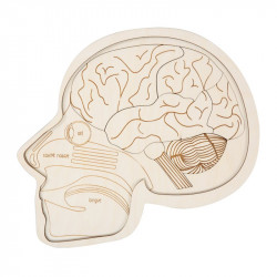 Puzzle en bois : utilisez votre tête !