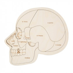Puzzle en bois : utilisez votre tête !