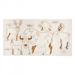 Puzzle en bois : évolution des animaux