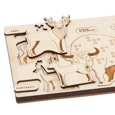 Puzzle en bois : évolution des animaux