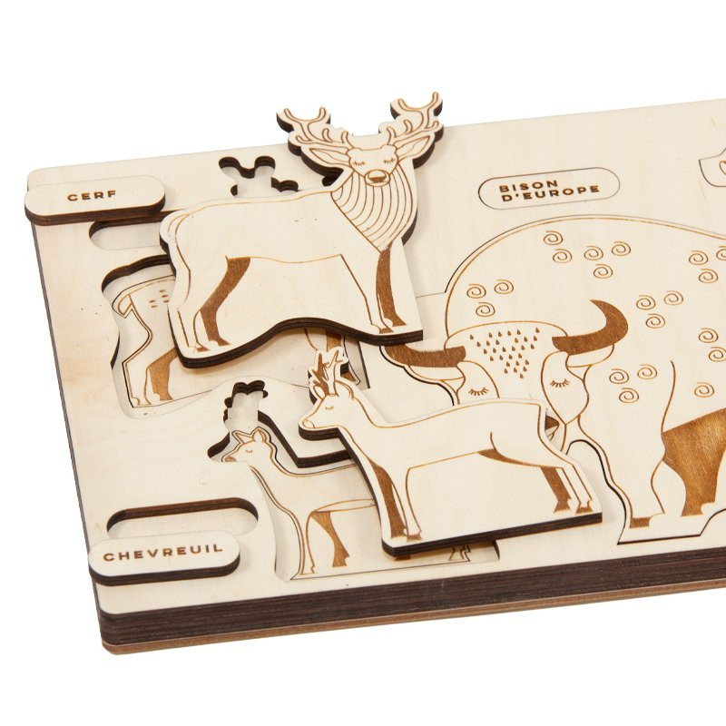 Puzzle en bois : évolution des animaux
