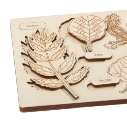 Puzzle en bois : qu'est-ce qui est tombé de l'arbre ?