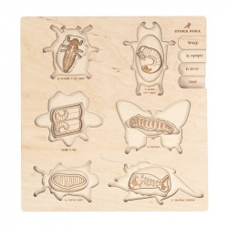 Puzzle en bois : les insectes
