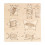 Puzzle en bois : les insectes