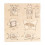 Puzzle en bois : les insectes