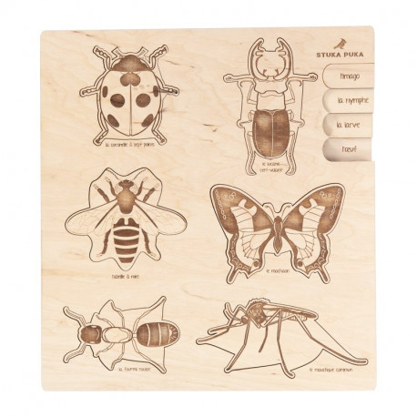 Puzzle en bois : les insectes