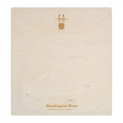 Puzzle en bois : les insectes