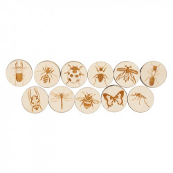 Jeu de mémoire : insectes