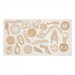 Puzzle en bois : bactéries et virus