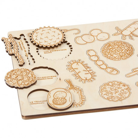 Puzzle en bois : bactéries et virus