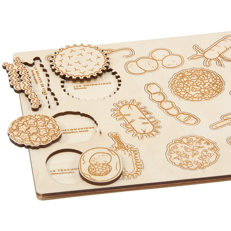 Puzzle en bois : bactéries et virus