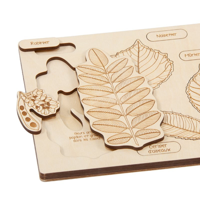 Puzzle en bois : qu'est-ce qui est tombé de l'arbre ? 3