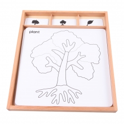 cartes pour cabinet de botanique