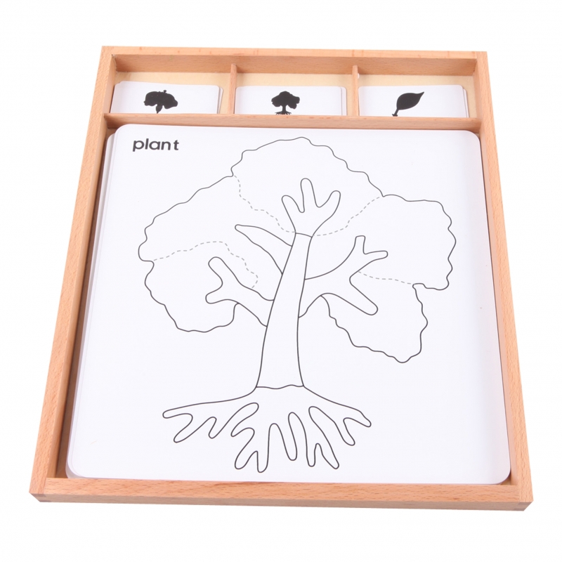 cartes pour cabinet de botanique