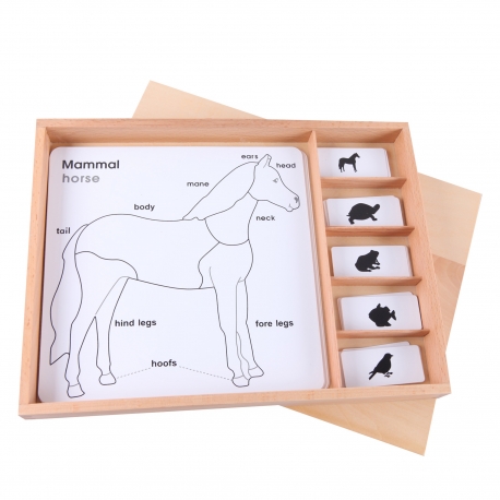 cartes pour cabinet de zoologie