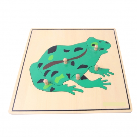 puzzle grenouille