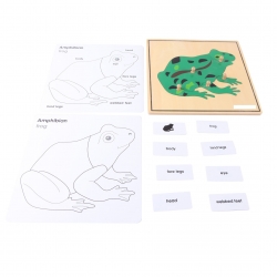 puzzle grenouille