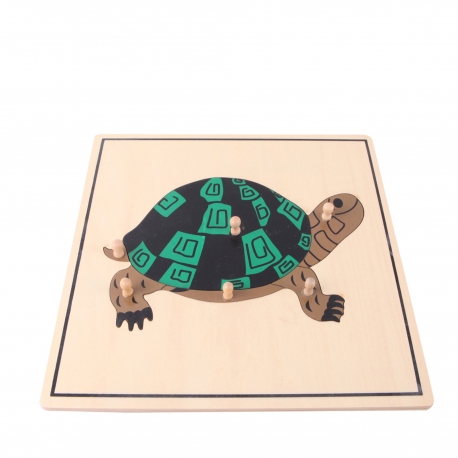 puzzle tortue