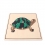 puzzle tortue