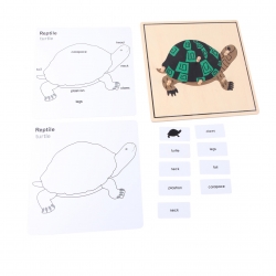 puzzle tortue